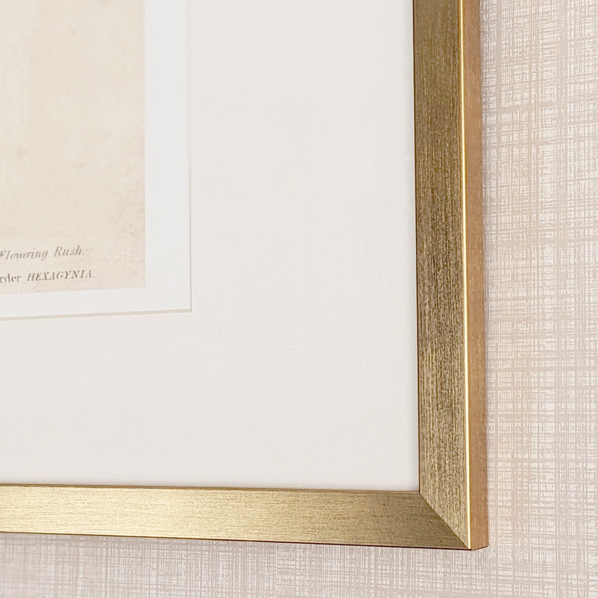 Diana Gold Framed Neutral Flower Wall Art - I