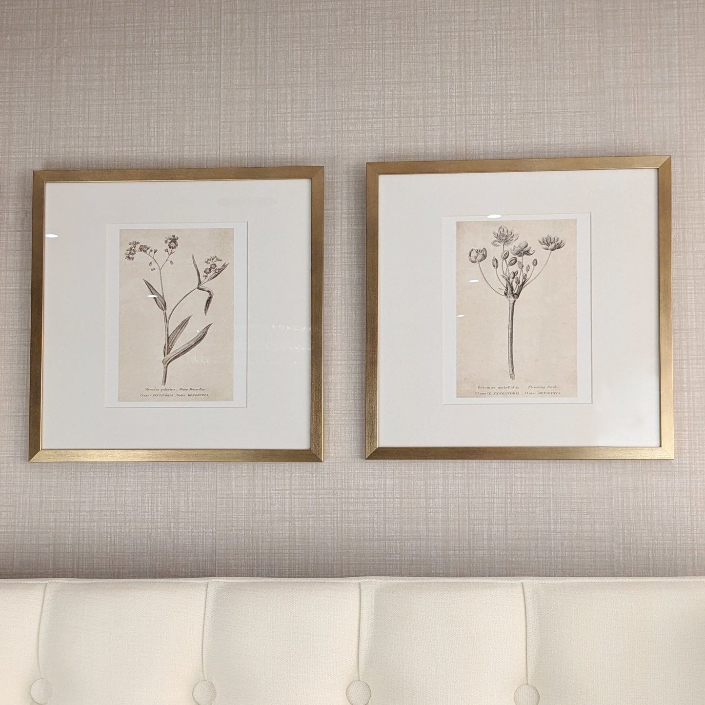 Diana Gold Framed Neutral Flower Wall Art - I
