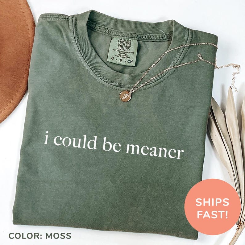 I Could Be Meaner Shirt