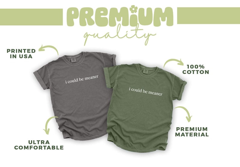 I Could Be Meaner Shirt