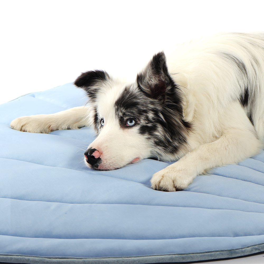 Summer Dog Cooling Pet Mat