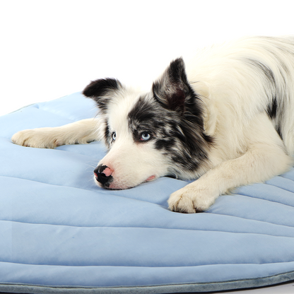 Summer Dog Cooling Pet Mat