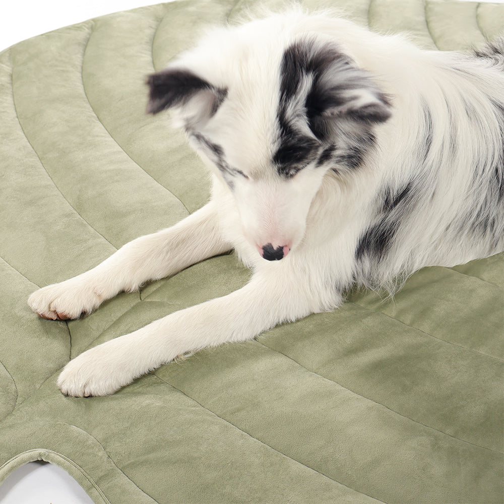 Summer Dog Cooling Pet Mat