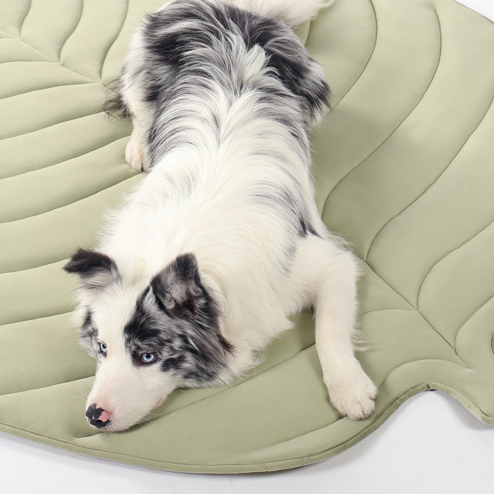 Summer Dog Cooling Pet Mat