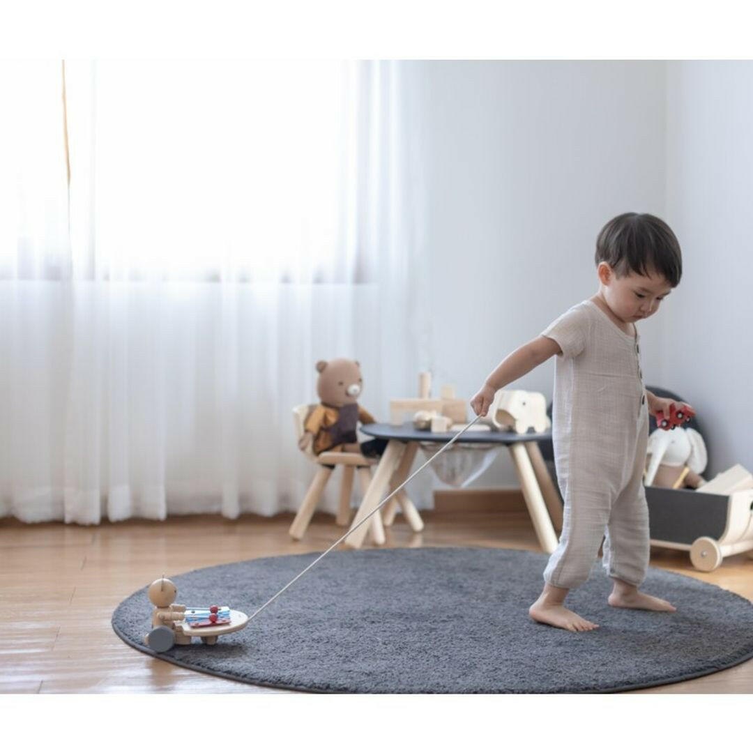 Pull Along Musical Bear