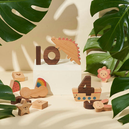 Numbers Wooden Play Blocks