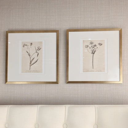 Diana Gold Framed Neutral Flower Wall Art - I