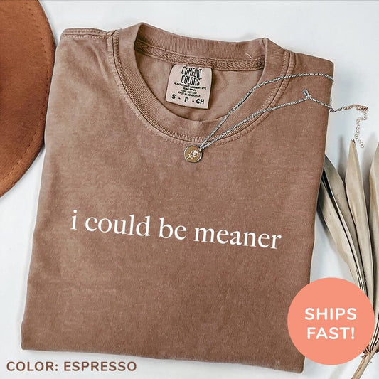 I Could Be Meaner Shirt