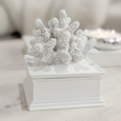 Kynance Square Faux White Coral Trinket Box