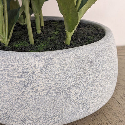 Large Faux White Hellebore Plant in Stone Pot