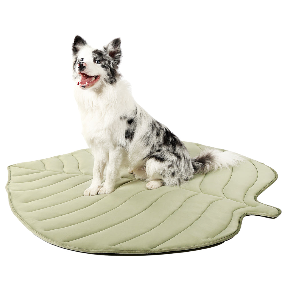 Summer Dog Cooling Pet Mat