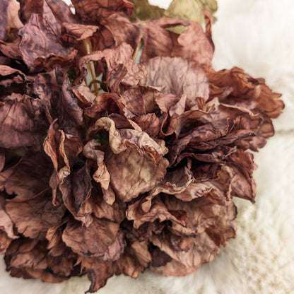 Mocha Faux Hydrangea Single Stem Floral