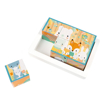 Pure 6-Block Tray
